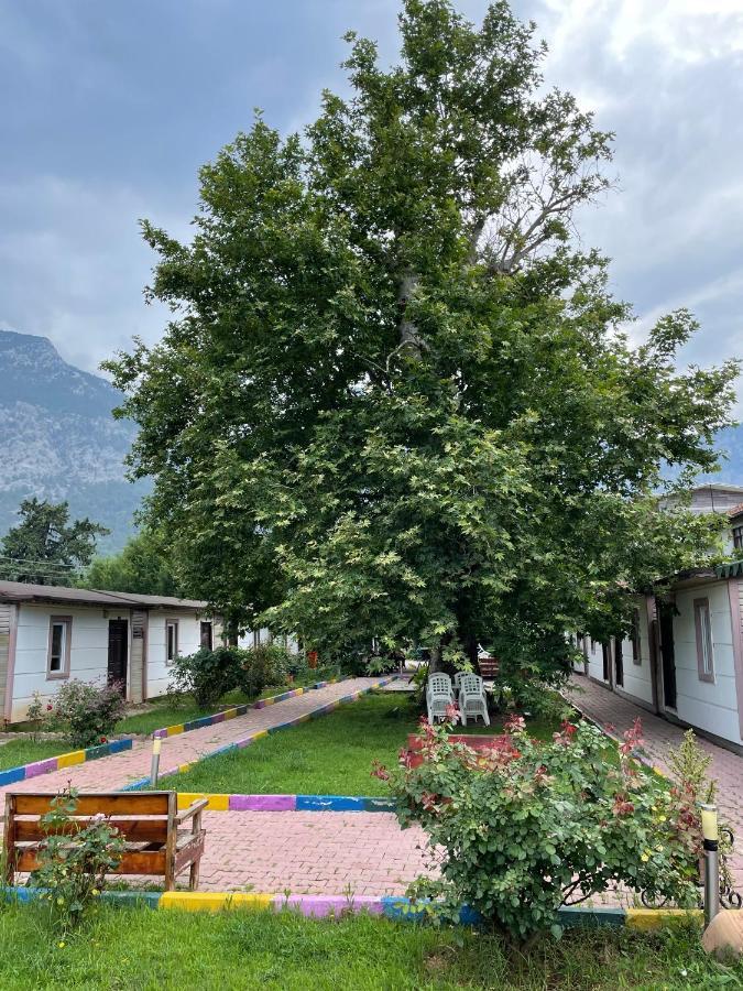 Ipsos Hotel Beldibi Kemer Eksteriør bilde